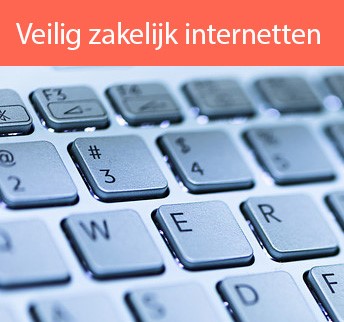 Banner-TN-Veilig-zakelijk-internetten-met-beeld-344X322