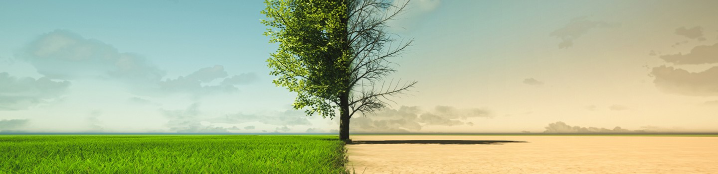 iStock-1339138376-water-droogte